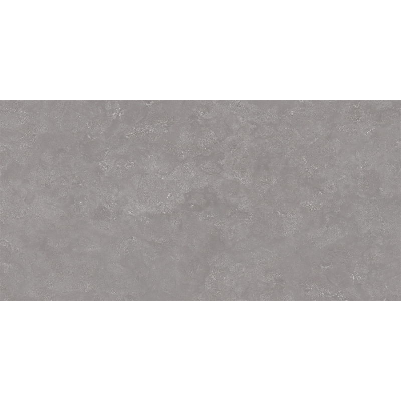Mexen Sparkle Gris grès émaillé rectifié. G1, carreaux de sol et mur 120 x 60 cm, mat - TL338-120-060-01