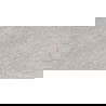 Mexen Alice Gris grès émaillé rect. G1, carreau sol-mur 120 x 60 cm, mat - TL339-120-060-00