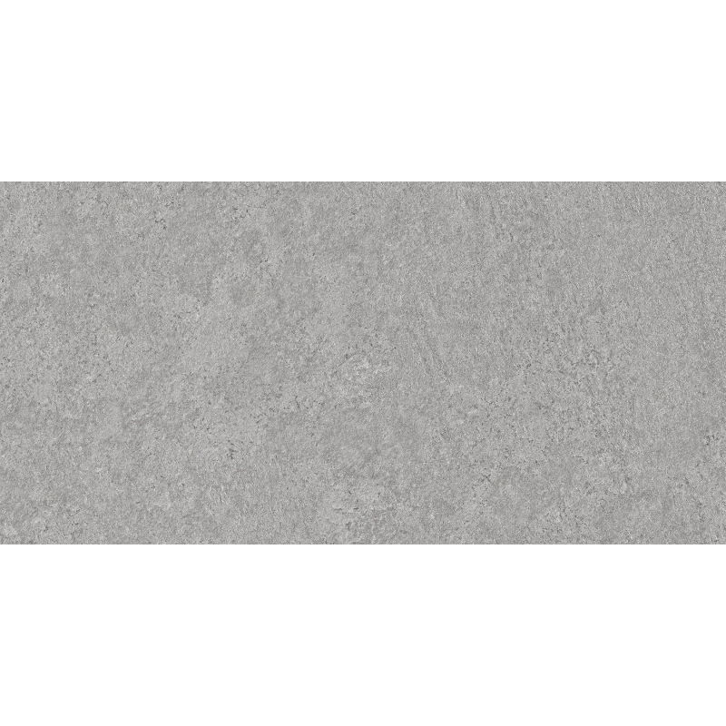 Mexen Megnum Silver grès émaillé rectifié G1, carreau sol-mur 120 x 60 cm, mat - TL342-120-060-03