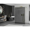 Mexen Kioto paroi de douche autoportante 100 x 200 cm, graphite 8 mm, dorée - 800-100-002-50-40