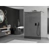 Mexen Kioto paroi de douche autoportante 110 x 200 cm, graphite 8 mm, noir - 800-110-002-70-40