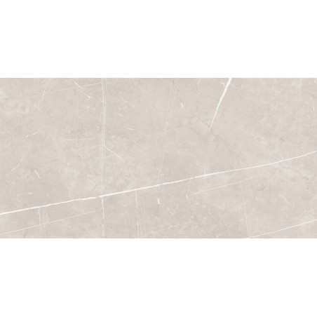 Mexen Dazzle Gres argent émaillé rectifié G1, carreau sol-mur 120 x 60 cm, carving - TL423-120-060-00