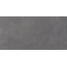 Mexen Evolution Grès gris émaillé rectifié. G1, carreaux muraux et de sol 120 x 60 cm, carving - TL437-120-060-02
