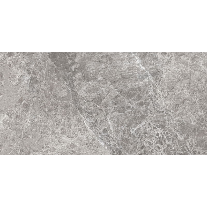 Mexen Lizard Grey grès émaillé rectifié G1, carreau sol-mur 120 x 60 cm, brillant - TL109-120-060-02