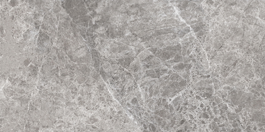 Mexen Lizard Grey grès émaillé rectifié G1, carreau sol-mur 120 x 60 cm, brillant - TL109-120-060-02