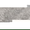 Mexen Lizard Grey grès émaillé rectifié G1, carreau sol-mur 120 x 60 cm, brillant - TL109-120-060-02