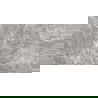 Mexen Lizard Grey grès émaillé rectifié G1, carreau sol-mur 120 x 60 cm, brillant - TL109-120-060-02