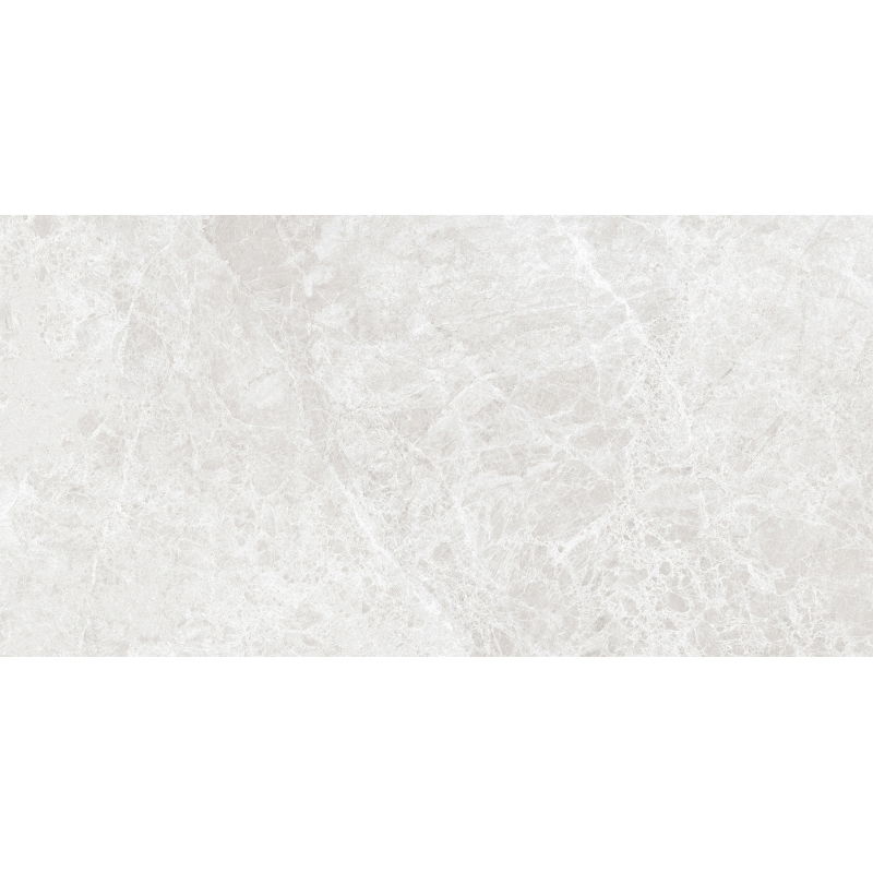 Mexen Lizard Silver grès émaillé rect. G1, carreau sol-mur 120 x 60 cm, brillant - TL109-120-060-03