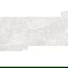 Mexen Lizard Silver grès émaillé rect. G1, carreau sol-mur 120 x 60 cm, brillant - TL109-120-060-03