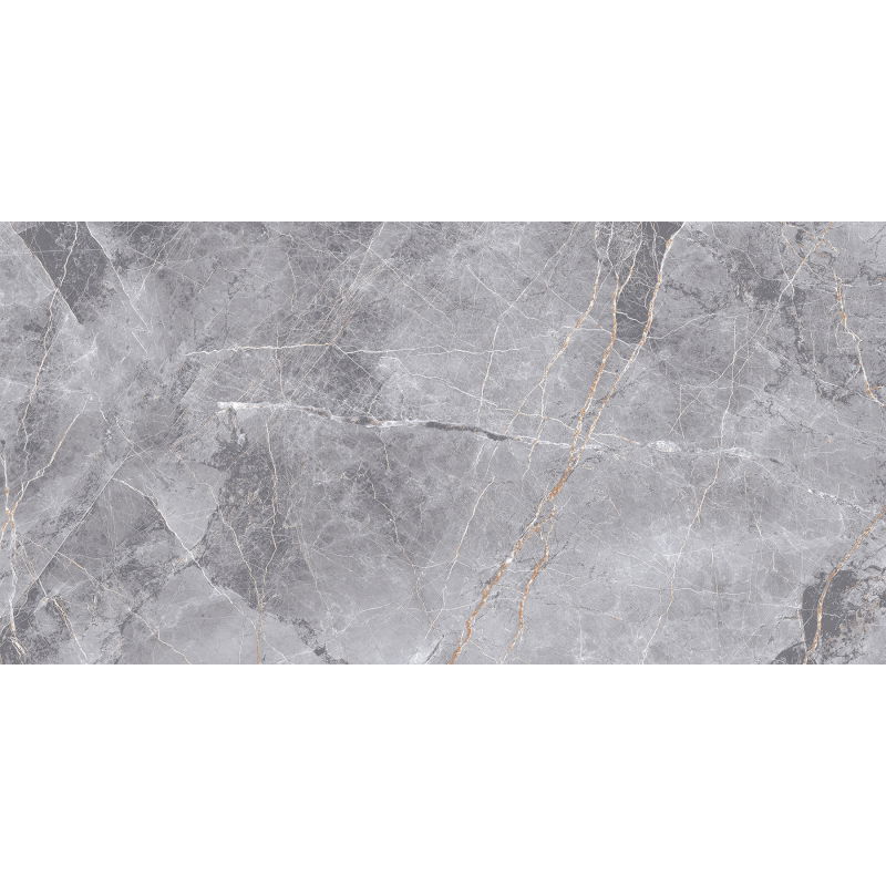 Mexen Eternity Grey carreau en grès émaillé rectifié. G1, carrelage sol-mur 120 x 60 cm, brillant - TL112-120-060-01