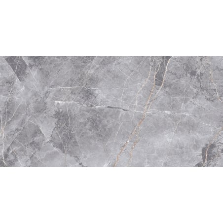 Mexen Eternity Grès gris émaillé rectifié G1, carreau sol-mur 120 x 60 cm, brillant - TL112-120-060-01