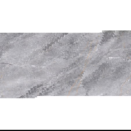 Mexen Eternity Grey carreau en grès émaillé rectifié. G1, carrelage sol-mur 120 x 60 cm, brillant - TL112-120-060-01