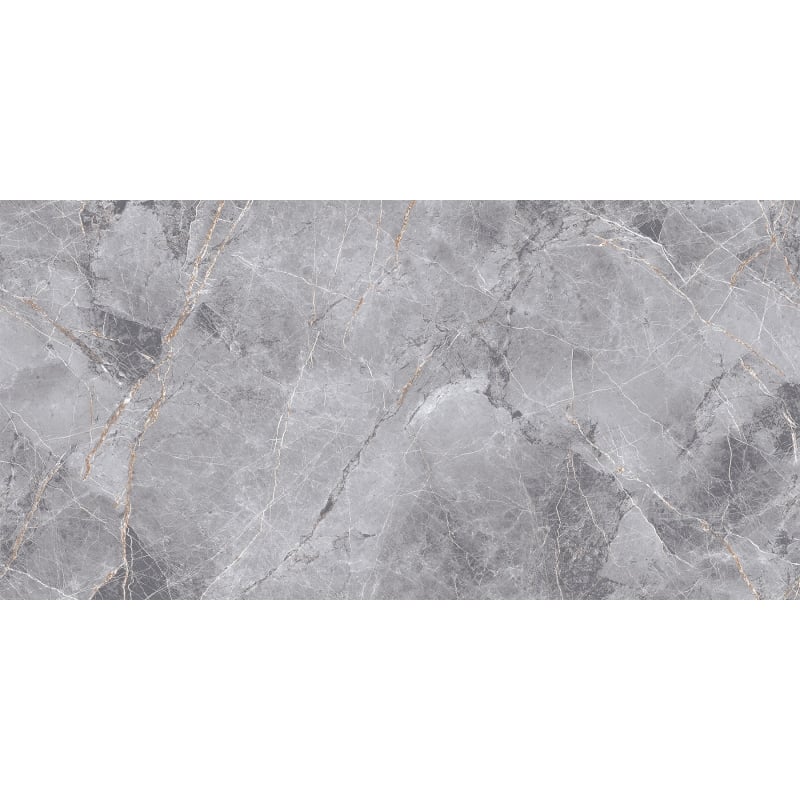 Mexen Eternity Grès gris émaillé rectifié G1, carreau sol-mur 120 x 60 cm, brillant - TL112-120-060-01