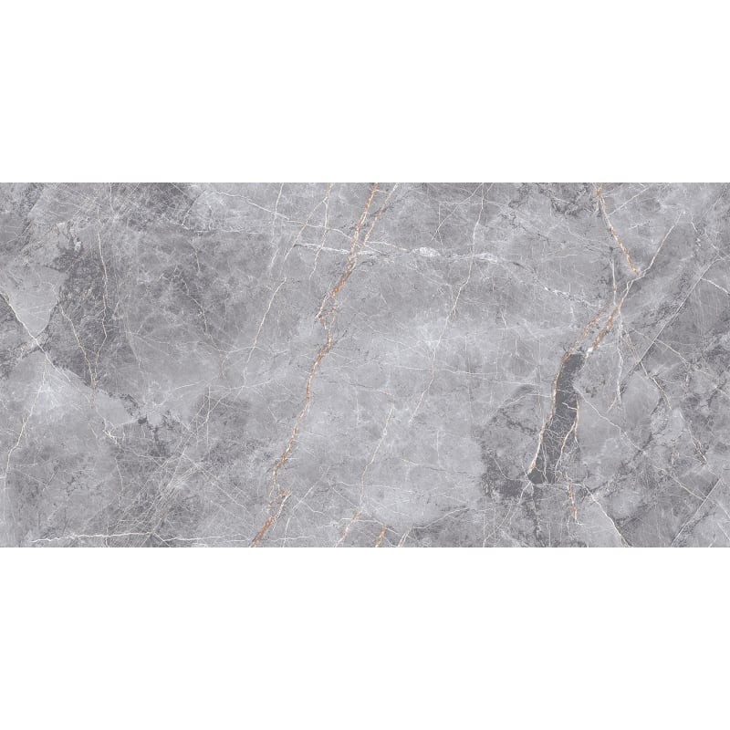 Mexen Eternity Grès gris émaillé rectifié G1, carreau sol-mur 120 x 60 cm, brillant - TL112-120-060-01