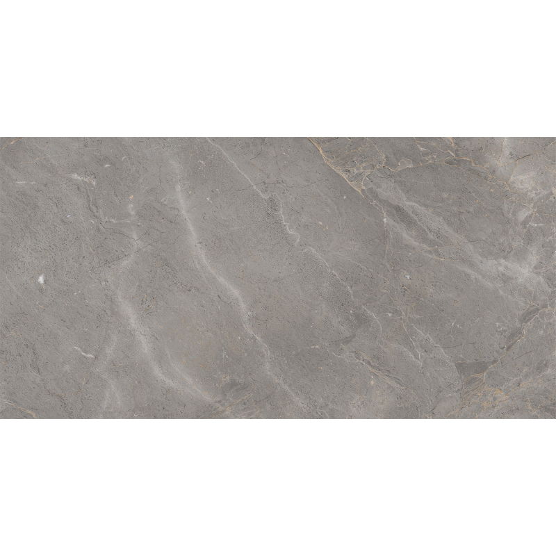 Mexen Era gris grès émaillé rect. G1, carreau de plancher et mur 120 x 60 cm, brillant - TL117-120-060-03