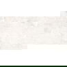 Mexen Tubac Bianco grès émaillé rect. G1, carreau sol-mur 120 x 60 cm, brillant - TL118-120-060-01