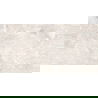 Mexen Tubac Gris grès émaillé rect. G1, carrelage sol-mur 120 x 60 cm, brillant - TL118-120-060-04