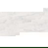 Mexen Robins Bianco grès émaillé rect. G1, carrelage sol-mur 120 x 60 cm, brillant - TL119-120-060-02