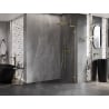 Mexen Lunar L paroi de douche Walk-in droite 60 x 200 cm, transparent 8 mm, dorée - 830L-060-000-50-00-P