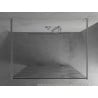 Mexen Kioto paroi de douche autoportante 120 x 200 cm, vague blanche 8 mm, chromé - 800-120-002-01-97