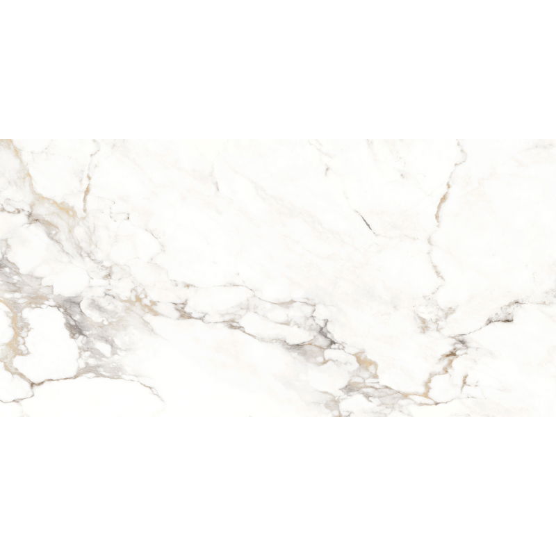 Mexen Scordia Grey grès émaillé rectifié G1, carreau mural et de sol 120 x 60 cm, brillant - TL125-120-060-00