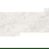 Mexen Iconic Bianco carrelage grès émaillé rectifié G1, dalle sol-mur 120 x 60 cm, brillant - TL128-120-060-00