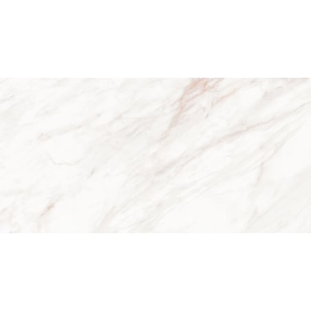 Mexen Forever Grey grès émaillé rect. G1, carreau sol-mur 120 x 60 cm, brillant - TL139-120-060-00