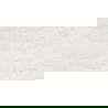 Mexen Homes Bianco grès émaillé rect. G1, carreaux sol-mur 120 x 60 cm, brillant - TL151-120-060-00
