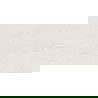 Mexen Homes Bianco grès émaillé rect. G1, carreaux sol-mur 120 x 60 cm, brillant - TL151-120-060-00