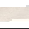 Mexen Homes Ivory carreau céramique émaillé rect. G1, carreau sol-mur 120 x 60 cm, brillant - TL151-120-060-02