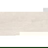 Mexen Homes Ivory carreau céramique émaillé rect. G1, carreau sol-mur 120 x 60 cm, brillant - TL151-120-060-02