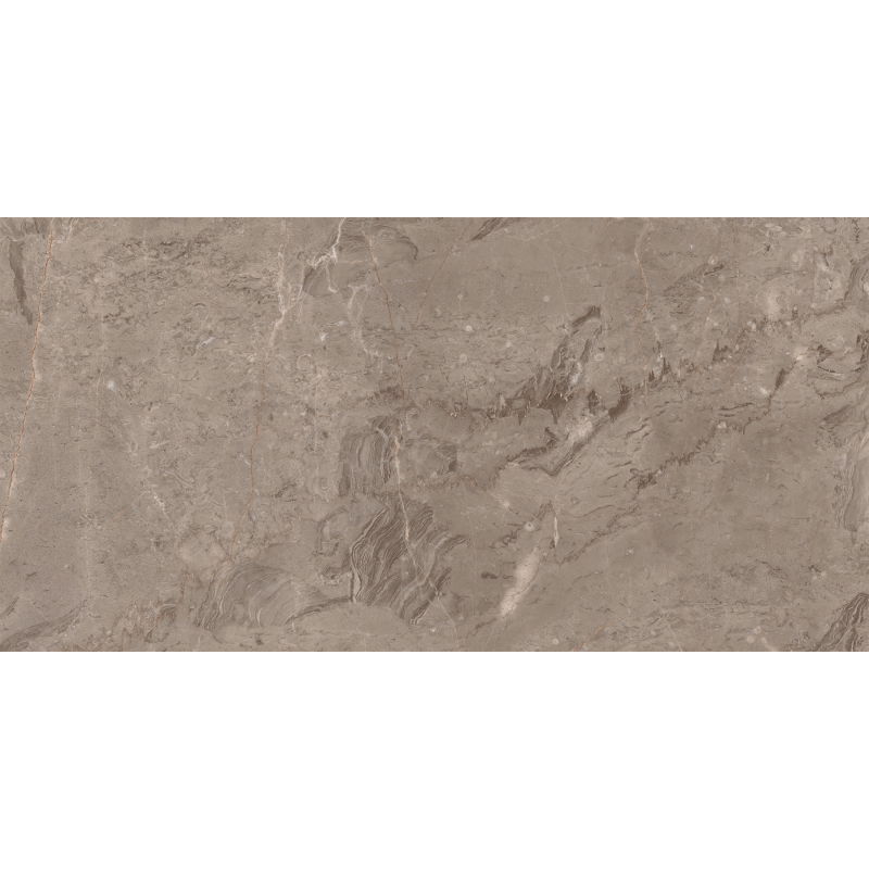 Mexen Arbour Taupe carrelage vitré rectifié G1, carreau sol-mur 120 x 60 cm, brillant - TL158-120-060-01