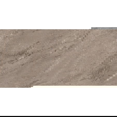 Mexen Arbour Taupe grès émaillé rectifié G1, carrelage sol et mur 120 x 60 cm, brillant - TL158-120-060-01