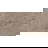 Mexen Arbour Taupe carrelage vitré rectifié G1, carreau sol-mur 120 x 60 cm, brillant - TL158-120-060-01
