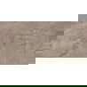 Mexen Arbour Taupe carrelage vitré rectifié G1, carreau sol-mur 120 x 60 cm, brillant - TL158-120-060-01