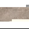 Mexen Arbour Taupe grès émaillé rectifié G1, carrelage sol et mur 120 x 60 cm, brillant - TL158-120-060-01