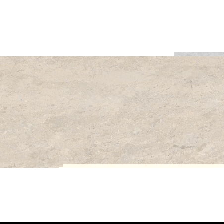 Mexen Dayno Classic carreau de grès émaillé rectifié G1, carreau sol-mur 120 x 60 cm, brillant - TL166-120-060-01
