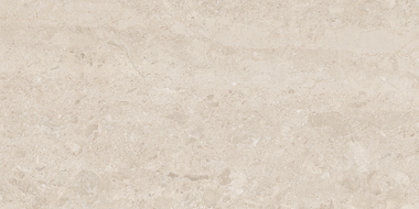 Mexen Dayno Classic carreau de grès émaillé rectifié G1, carreau sol-mur 120 x 60 cm, brillant - TL166-120-060-01