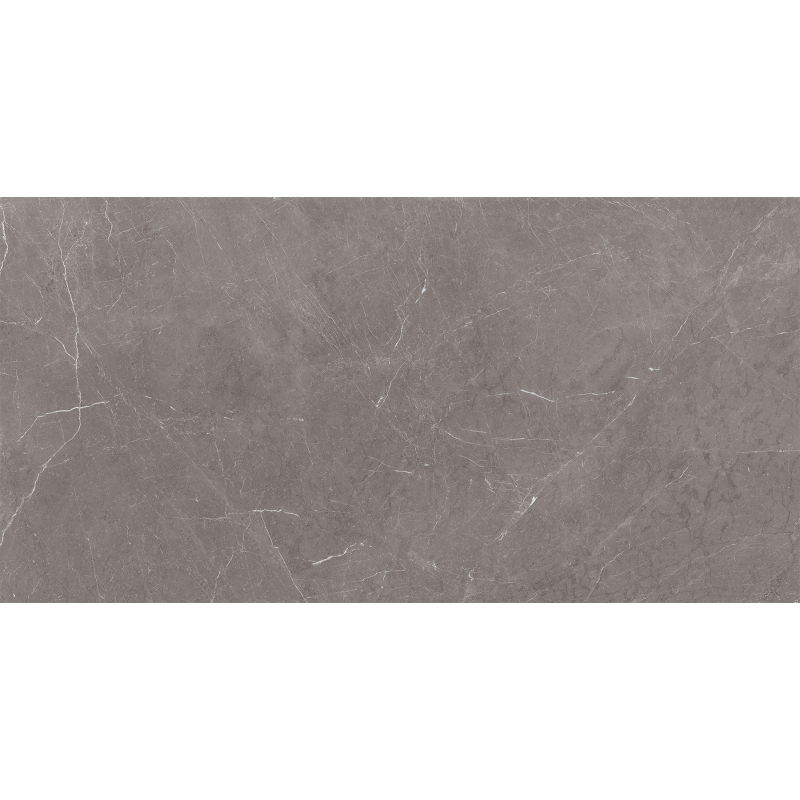 Mexen Gloster Gris carreaux en grès cérame rectifié. G1, carrelage sol et mur 120 x 60 cm, brillant - TL172-120-060-01
