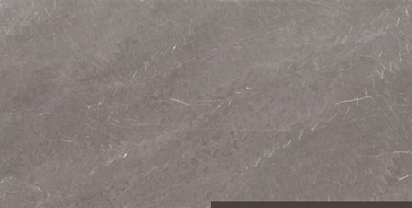 Mexen Gloster Gris carreaux en grès cérame rectifié. G1, carrelage sol et mur 120 x 60 cm, brillant - TL172-120-060-01