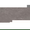 Mexen Gloster Gris carreaux en grès cérame rectifié. G1, carrelage sol et mur 120 x 60 cm, brillant - TL172-120-060-01