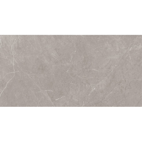 Mexen Gloster Gres gris clair émaillé rectifié G1, carreau sol-mur 120 x 60 cm, brillant - TL172-120-060-04