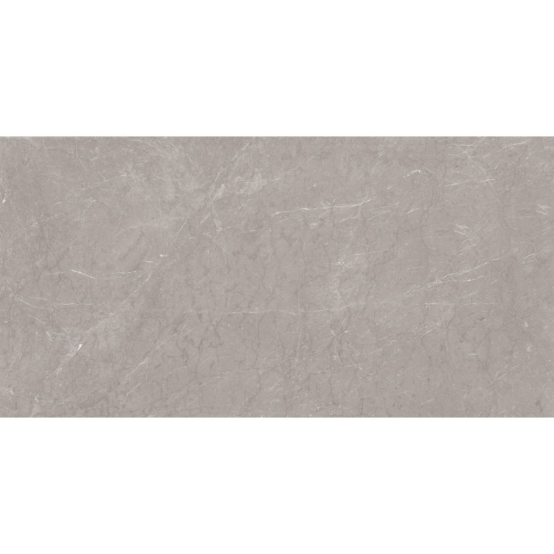 Mexen Gloster Gris Clair grès émaillé rectifié G1, carreaux de sol et mur 120 x 60 cm, brillant - TL172-120-060-04