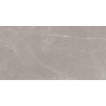 Mexen Gloster Gres gris clair émaillé rectifié G1, carreau sol-mur 120 x 60 cm, brillant - TL172-120-060-04