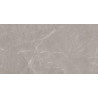 Mexen Gloster Gres gris clair émaillé rectifié G1, carreau sol-mur 120 x 60 cm, brillant - TL172-120-060-04