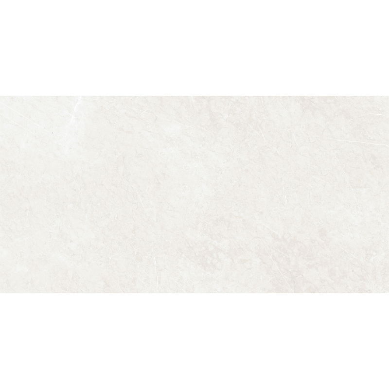 Mexen French Silver grès émaillé rectifié G1, carrelage sol-mur 120 x 60 cm, brillance - TL173-120-060-01