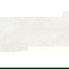 Mexen French Silver grès émaillé rectifié G1, carrelage sol-mur 120 x 60 cm, brillance - TL173-120-060-01