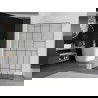 Mexen Kioto paroi de douche 70 x 200 cm, transparent/Design noir 8 mm, Blanc - 800-070-101-20-78