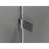 Mexen Lunar-B porte de douche pivotante gauche 100 cm, transparent, gris canon brossé - 832-100-000-66-00-L