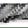 Mexen Lunar-F porte de douche pliante droite 65 cm, transparent, doré brossé - 836-065-000-55-00-P